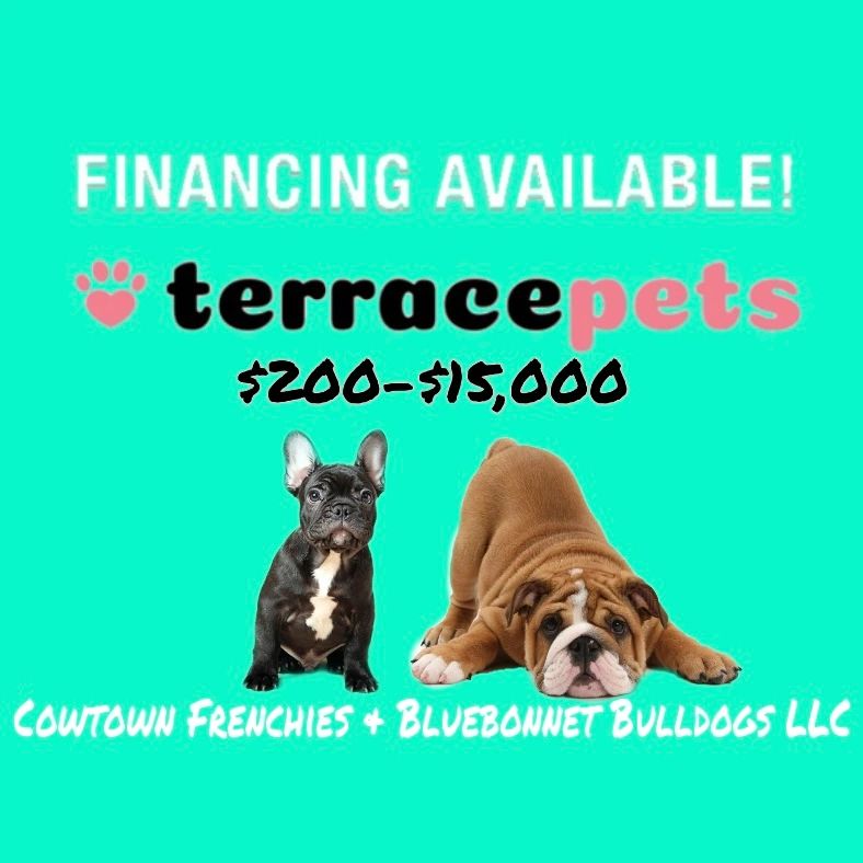 Do I Pay Tax On Selling Puppies