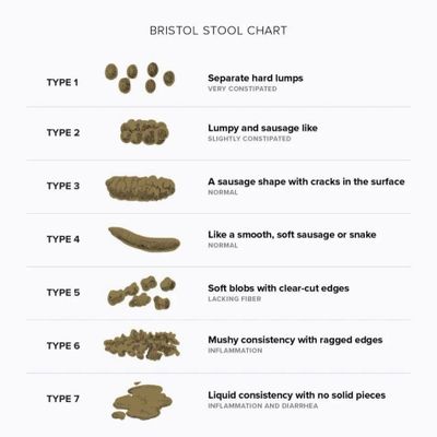 Illustration of the Bristol Stool Chart showing seven stool types from hard lumps to liquid.