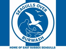 We are Seagulls Over Burwash
