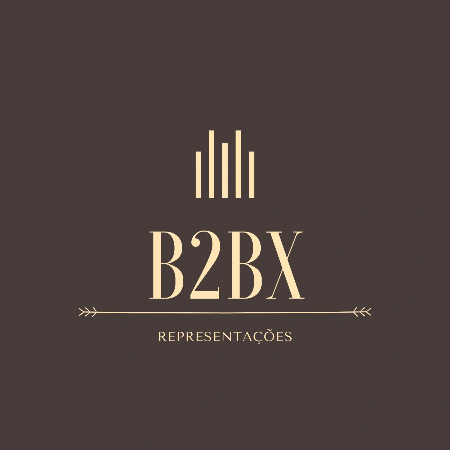 B2bx Representacao Ltda