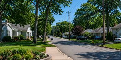 Quiet suburban street lined with houses and trees on a sunny day.