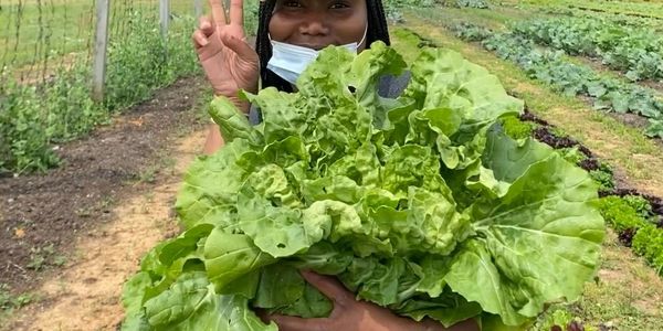 Planting fresh vegetables to give hope to our community engagement programs are essential feed us. 