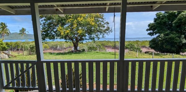 View of a green yard and trees from a porch with white railing.