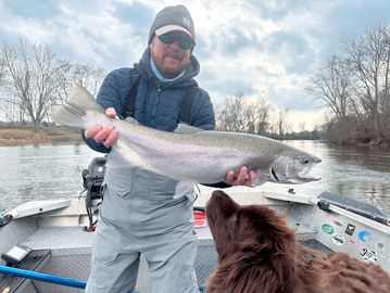 Steelhead fishing the Muskegon River