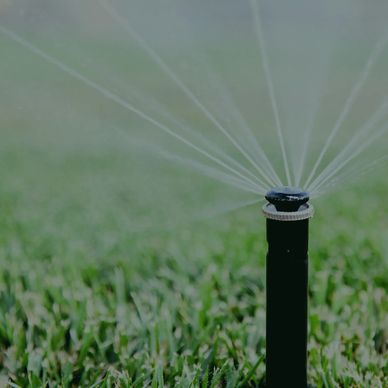 A lawn sprinkler watering green grass with water spraying in multiple directions.