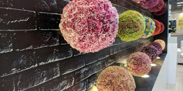 Colorful spherical floral arrangements on a black brick wall.