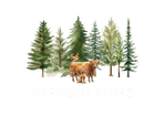 TEEMBIN PINES