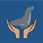 Protect Galapagos Sea Lions