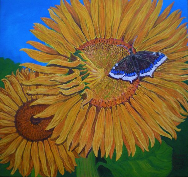 Mourning Cloaks Sunflowers, 36 inches square, Oil on Canvas