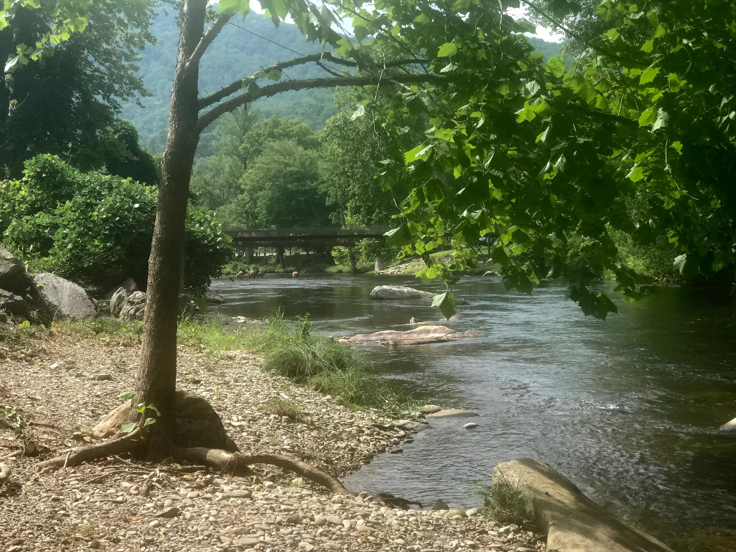 Cherokee Riverfront RV Park