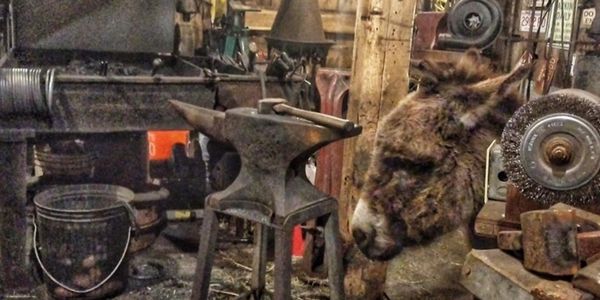 My Blacksmith shop and donkey