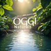 Oggi Naturals

