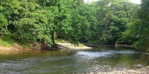 Fishing river Irfon 