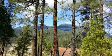 Trinity Alps Wilderness with snow-capped peaks