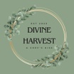 Divine Harvest
Food made with love
