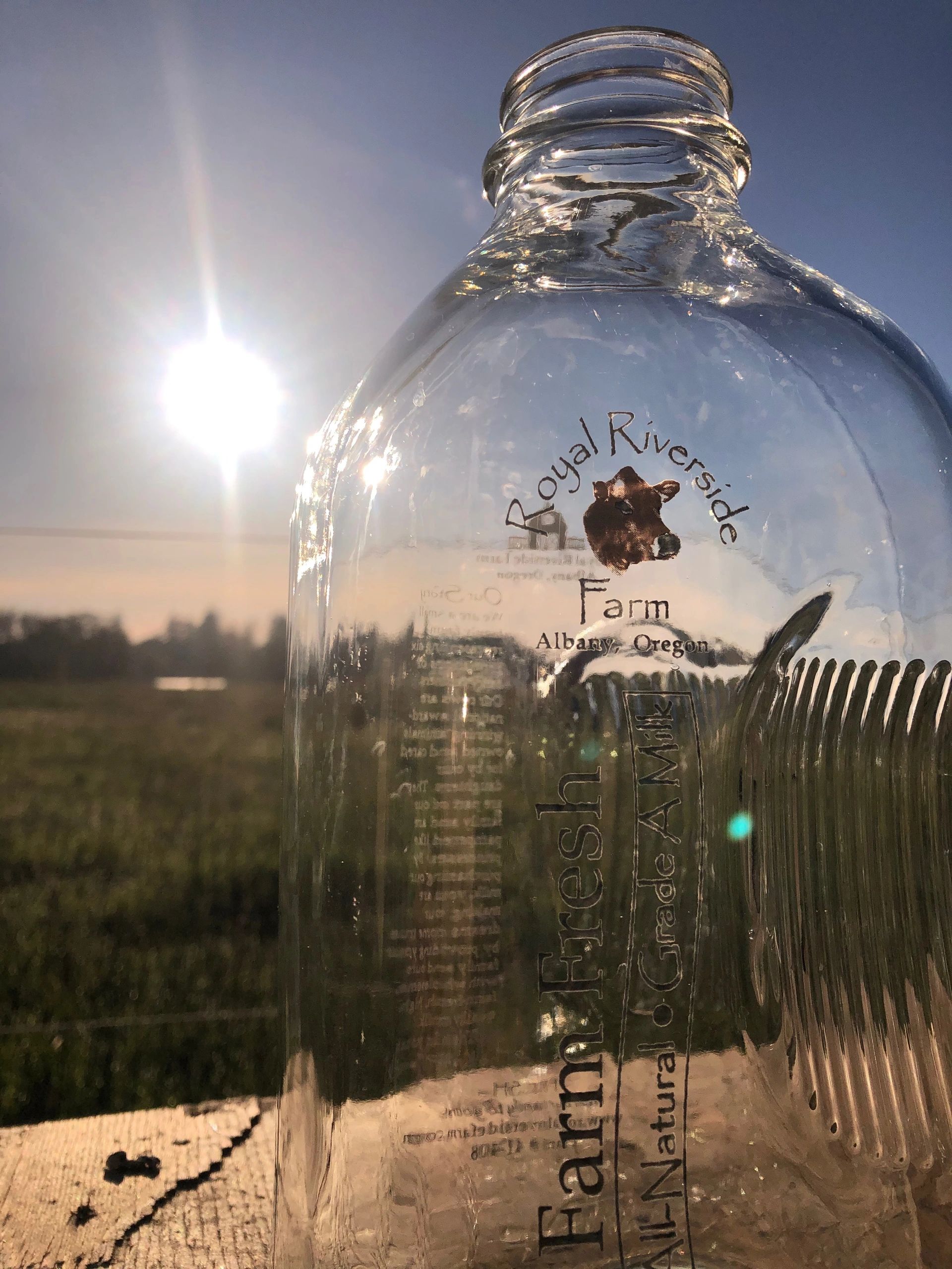 Glass Milk Bottles  Beyond Recycling & Supporting Local Farms