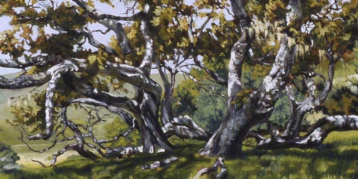 Dance of the Oaks | 2010 | oil on panel | 16 x 20 inches