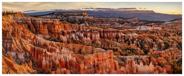 Panoramic view of Bryce Canyon's vibrant hoodoos under a cloudy sky.