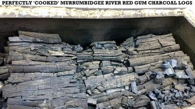 fresh cooked RED GUM Charcoal