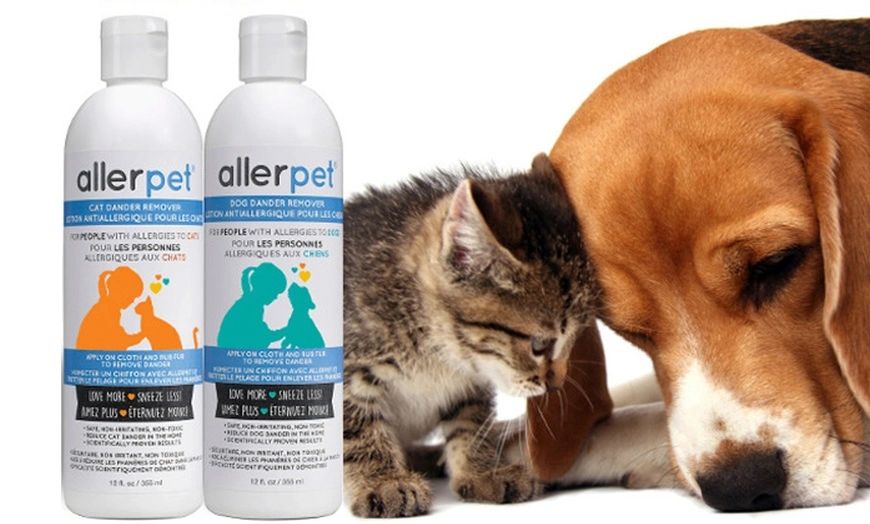 lotion anti allergie chat allerpet