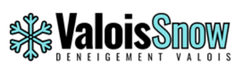 Valois Snow Inc