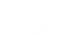 The Miami Experience Party