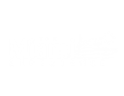 The Miami Experience Party