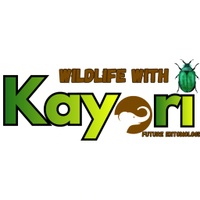 Wildlife With Kayari 