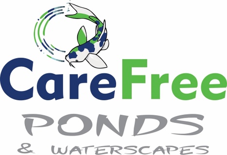 Carefree Ponds & Waterscapes