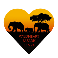 wildheart safaris kenya