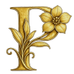 PREMIUM PETALS