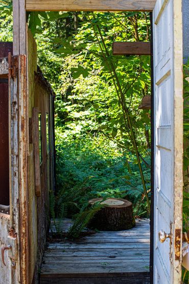 Outdoor Shower