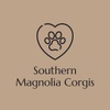 Southern Magnolia Corgis
