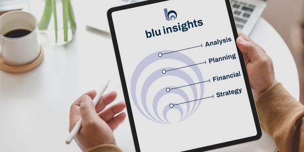 Blu Insights, Analysis, Planning, Financial, Strategy
