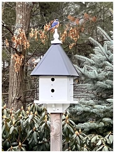 Farmhouse birdhouse with a black aluminum roof