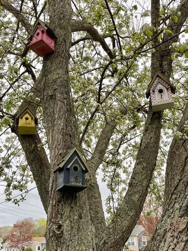 Rustic Cabin birdhouses adorning a tree.