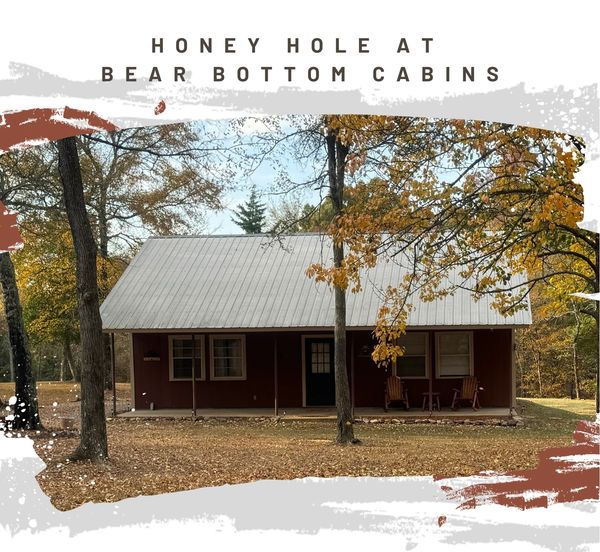 Cozy cabin surrounded by autumn trees at Bear Bottom Cabins.