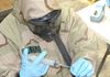 Taking a chemical warfare sample