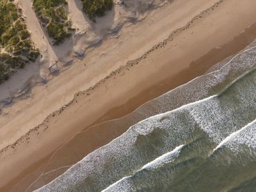 An aerial shot of a beach. Waves gently rippling onto the sand, and grass covered dunes beyond.