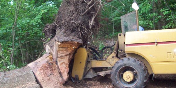 Stump Grinder and large blow over Stump