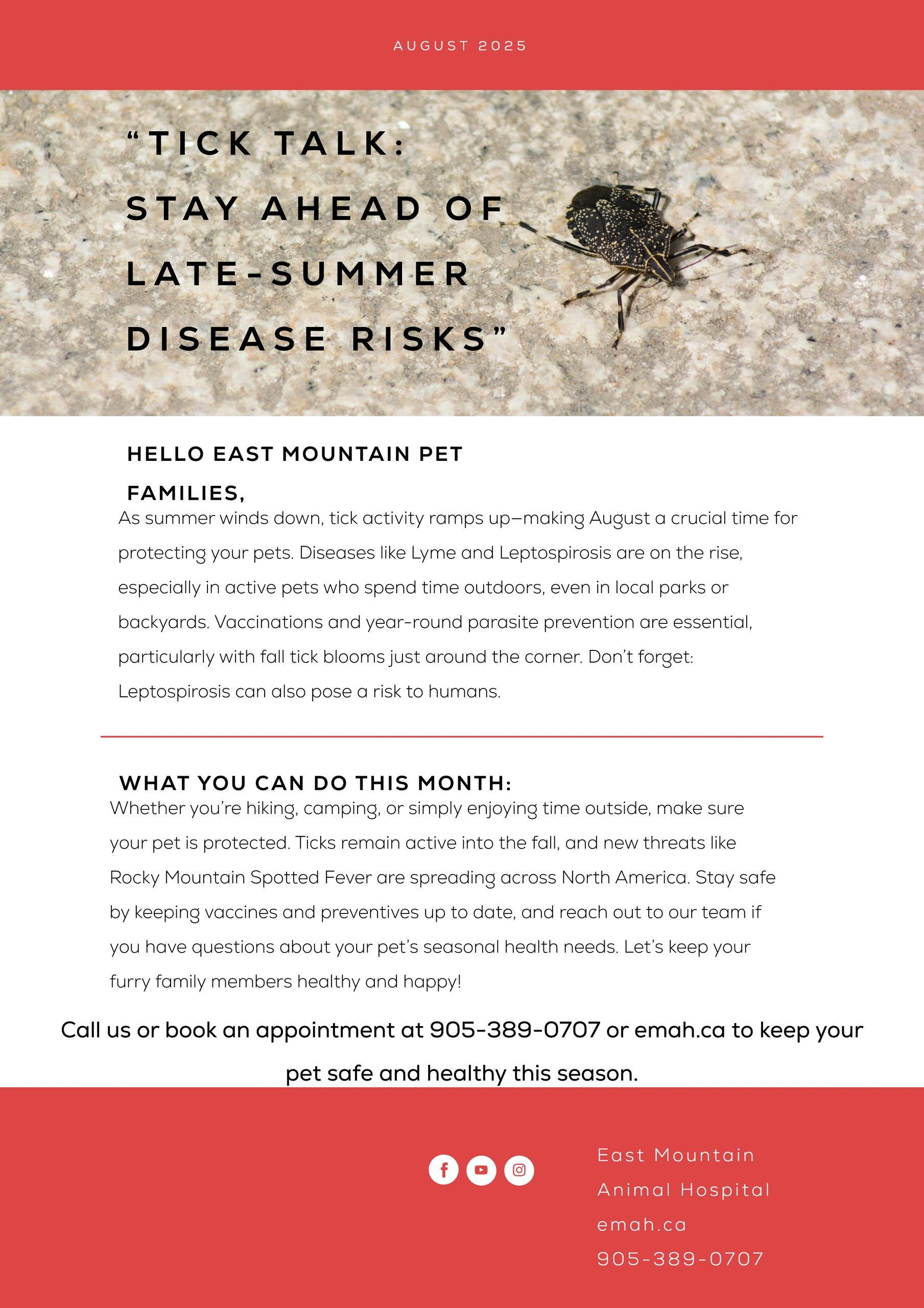 Can Ticks Survive Hot Weather: Shocking Truths Revealed