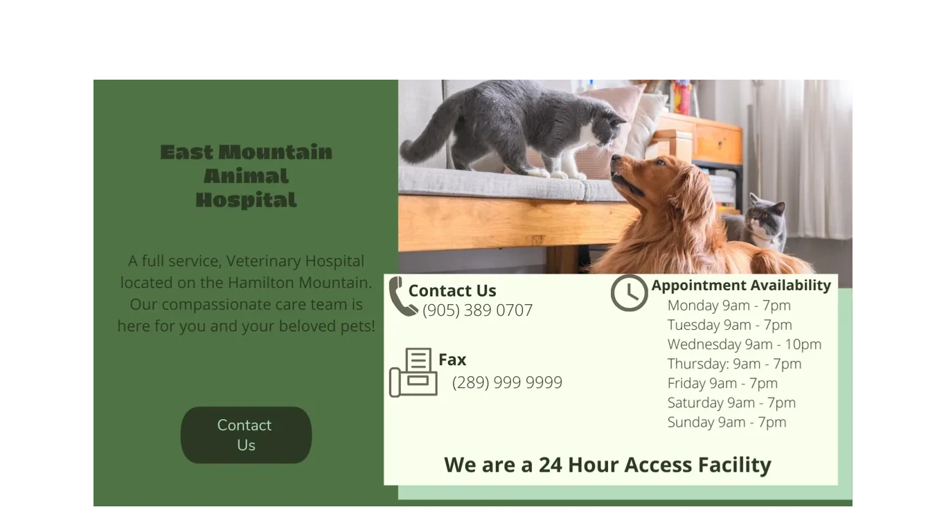East Mountain animal Hospital Veterinary Services, Animal Hospital