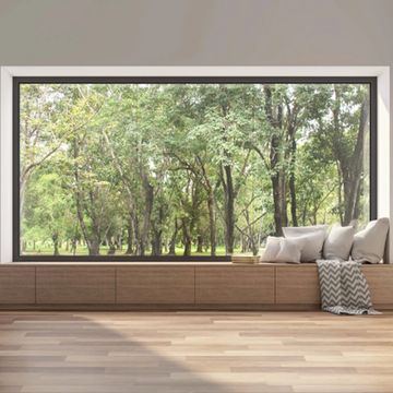 Luxury aluminum glass window with forest view in modern living room, floor-to-ceiling design