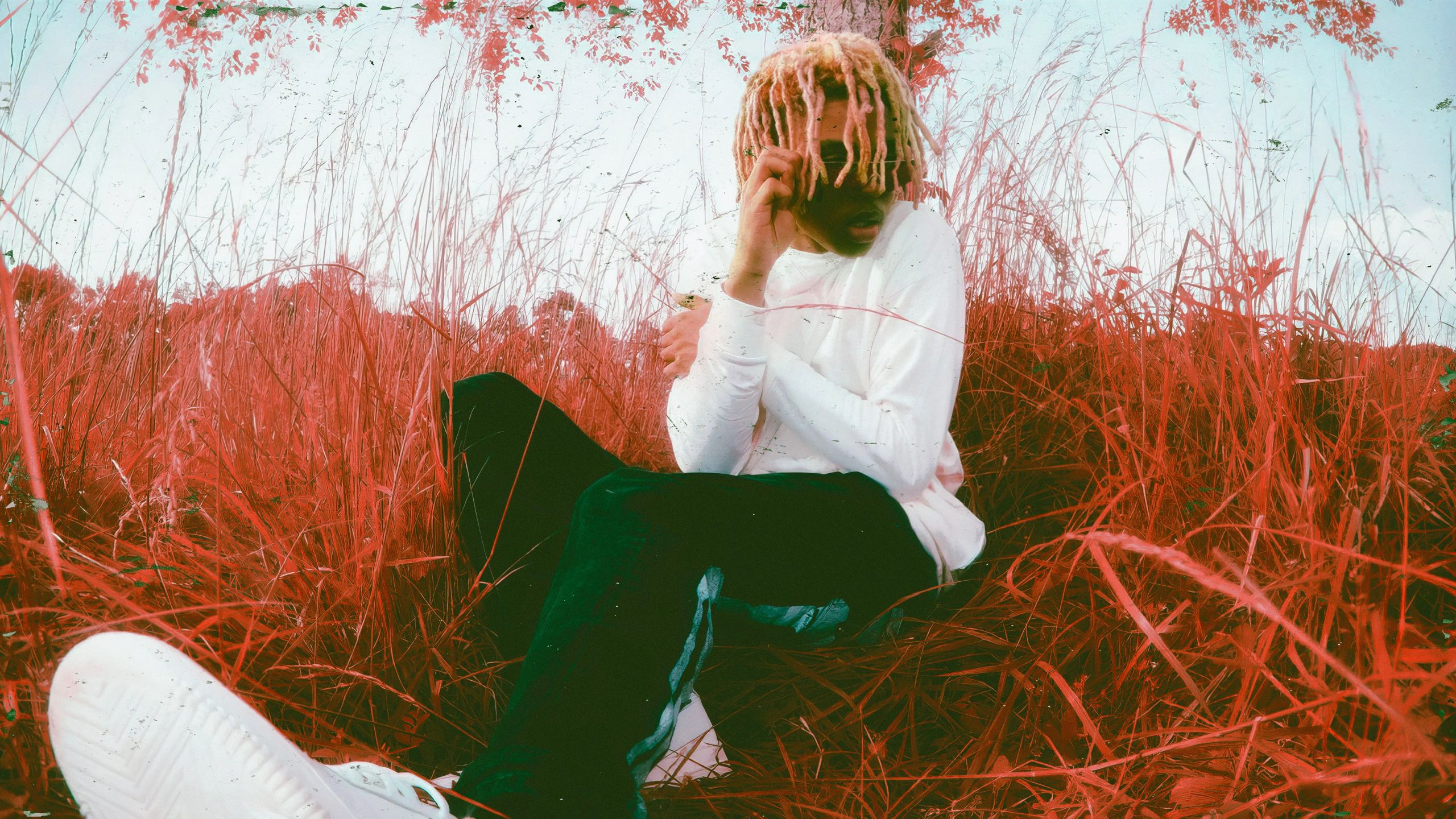 Top 70+ sofaygo wallpapers latest - in.cdgdbentre