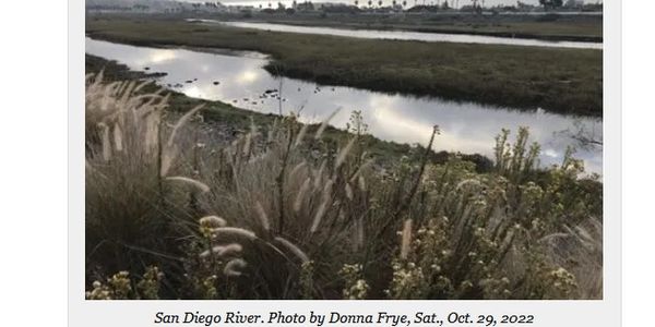 Photo of the San Diego River taken by Donna Frye, 10/29/22