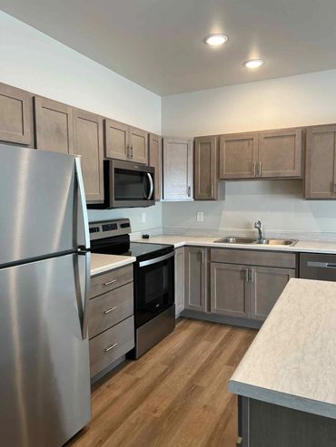 Modern kitchen with stainless steel appliances and wooden cabinets.