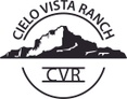 cvrterlingua.com