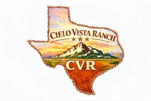 cvrterlingua.com