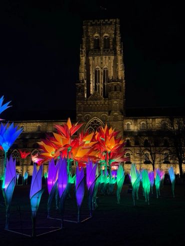 Durham Cathedral Christmas light display
