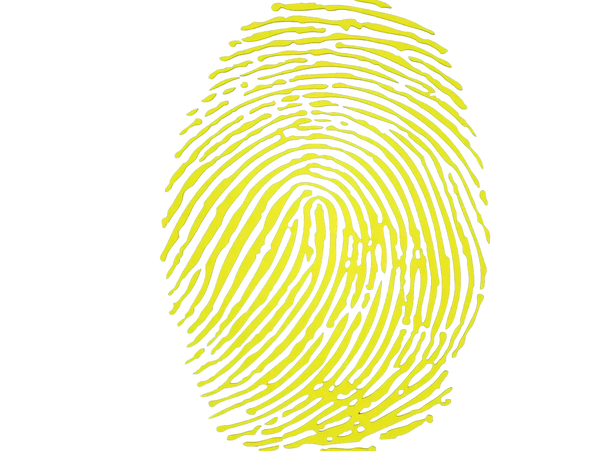 Yellow fingerprint pattern on a transparent background.
